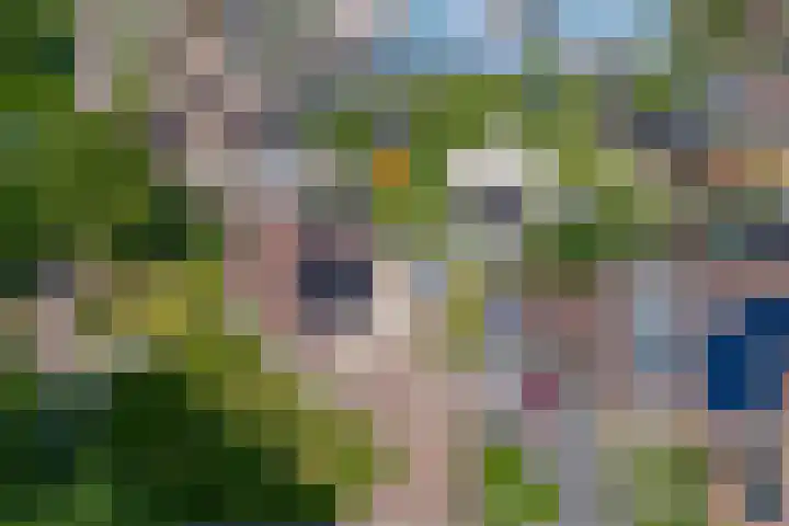 't Rak 10 Schoonebeek thumbnail 46
