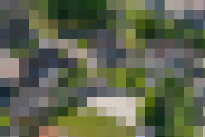 't Rak 10 Schoonebeek thumbnail 47