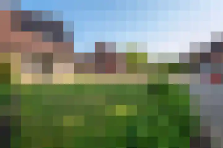 't Rak 10 Schoonebeek thumbnail 8