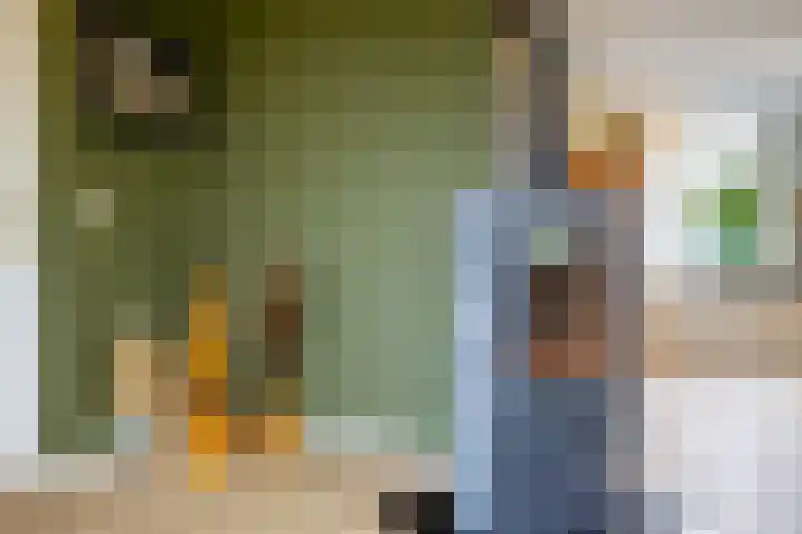 't Rak 17 Schoonebeek thumbnail 11