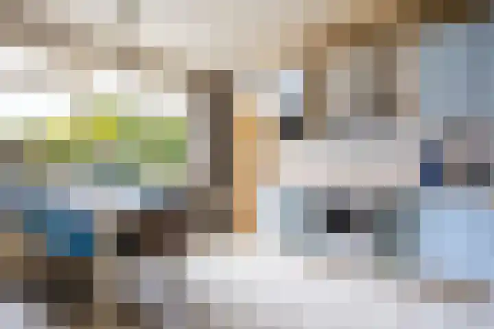 't Rak 17 Schoonebeek thumbnail 15