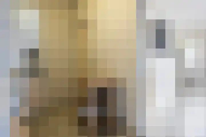 't Rak 17 Schoonebeek thumbnail 19