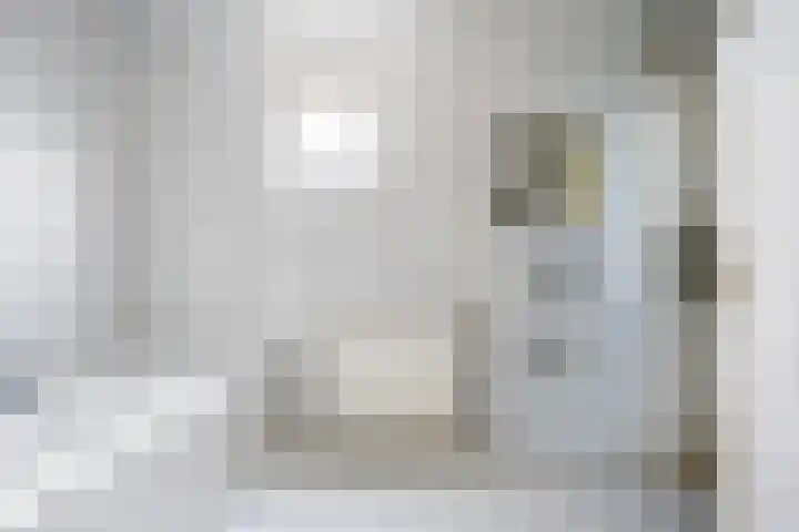 't Rak 17 Schoonebeek thumbnail 28