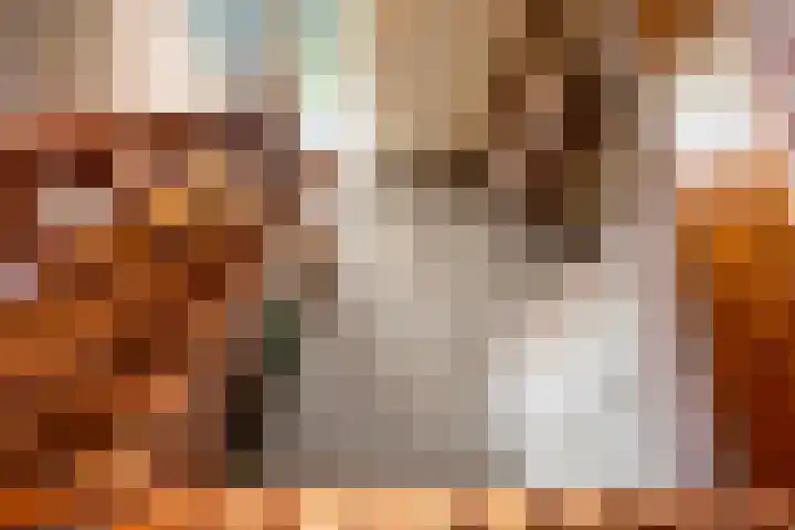 't Rak 17 Schoonebeek thumbnail 30