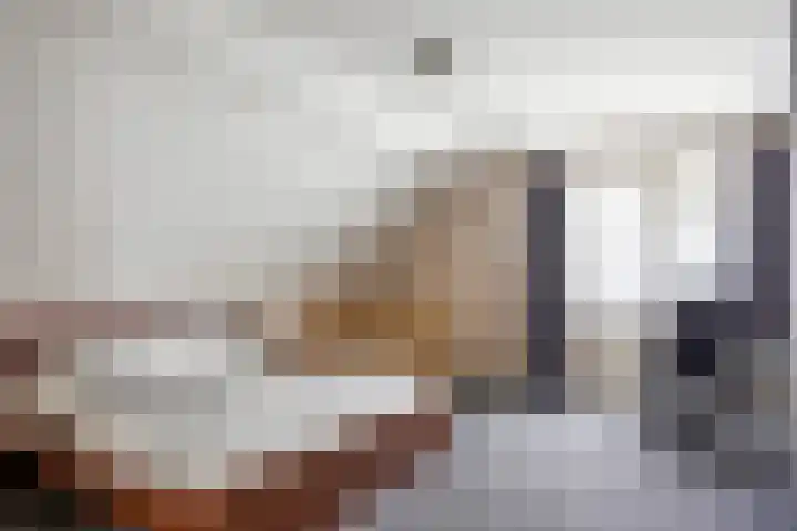 't Rak 17 Schoonebeek thumbnail 33