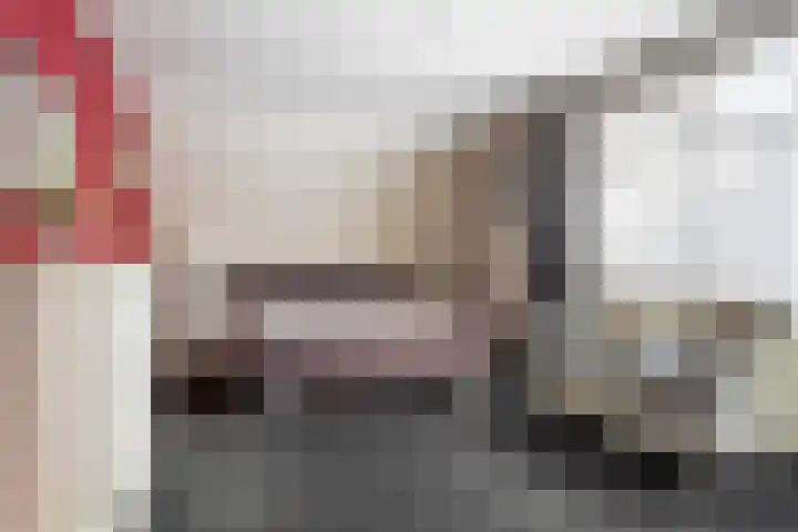 't Rak 17 Schoonebeek thumbnail 37