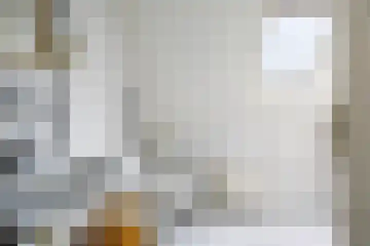't Rak 17 Schoonebeek thumbnail 38