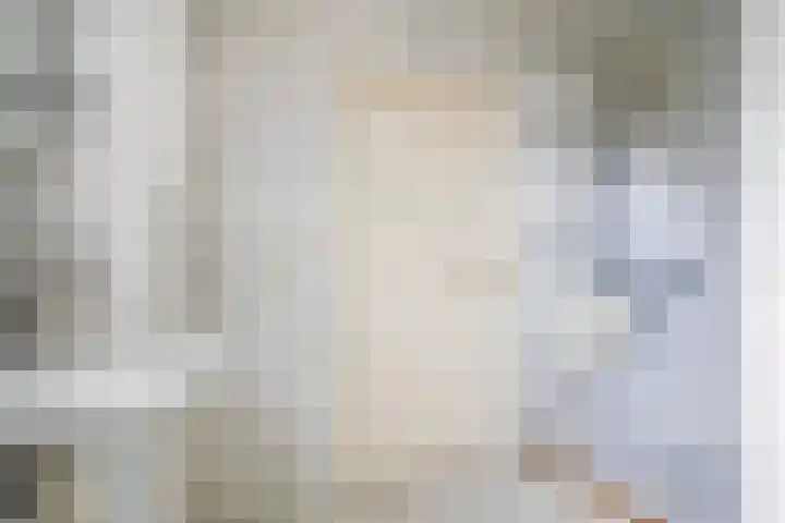 't Rak 17 Schoonebeek thumbnail 39