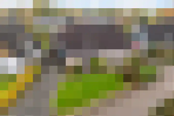 't Rak 17 Schoonebeek thumbnail 41
