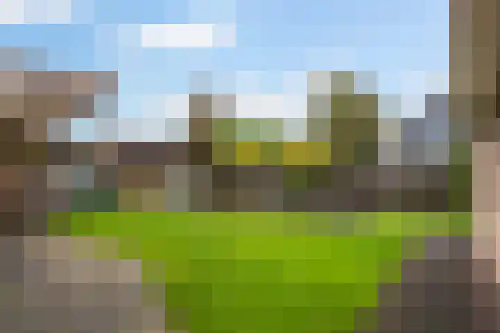 't Rak 17 Schoonebeek thumbnail 46