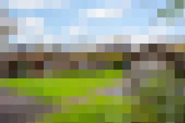 't Rak 17 Schoonebeek thumbnail 6