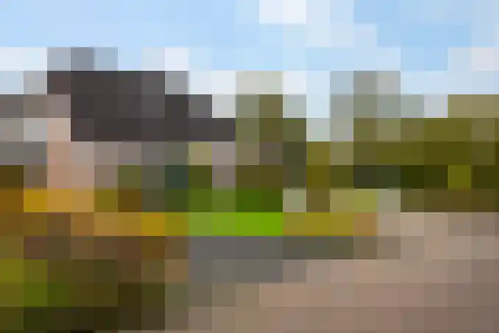 't Rak 17 Schoonebeek thumbnail 7
