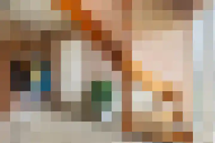 't Rak 17 Schoonebeek thumbnail 8