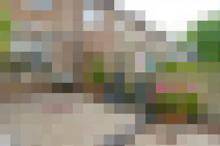 't Rak 20 Barendrecht thumbnail 27