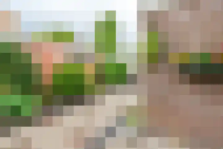 't Rak 20 Barendrecht thumbnail 29
