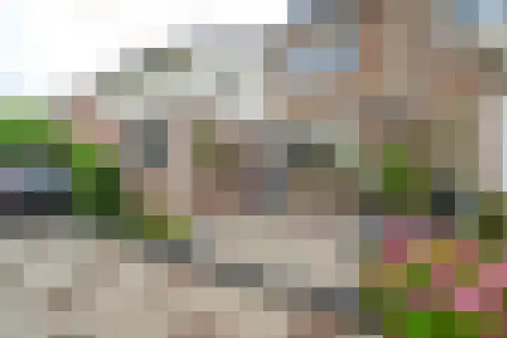 't Rak 20 Barendrecht thumbnail 31