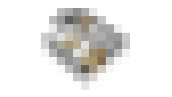 't Rak 20 Barendrecht thumbnail 35