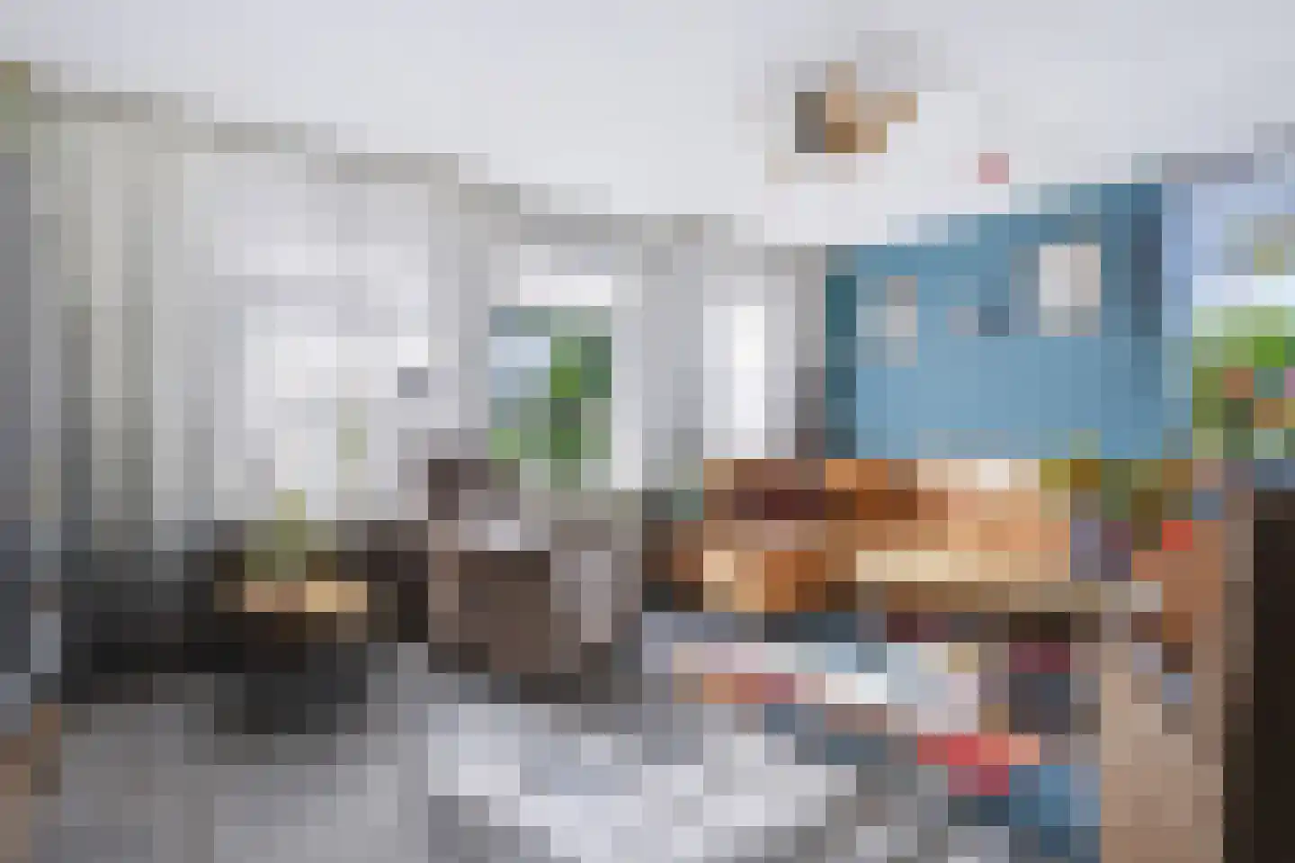 't Rak 20 Schoonebeek thumbnail 11
