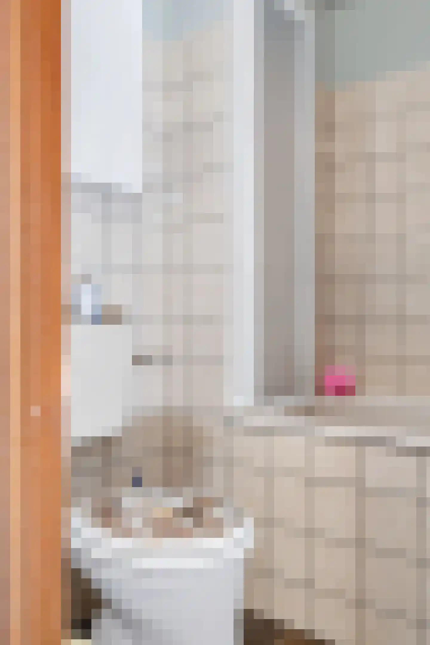 't Rak 20 Schoonebeek thumbnail 22