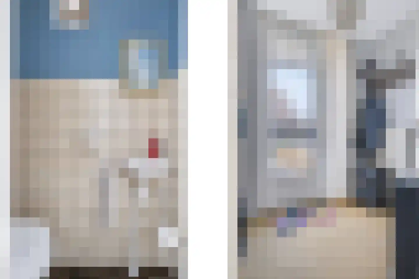 't Rak 20 Schoonebeek thumbnail 6
