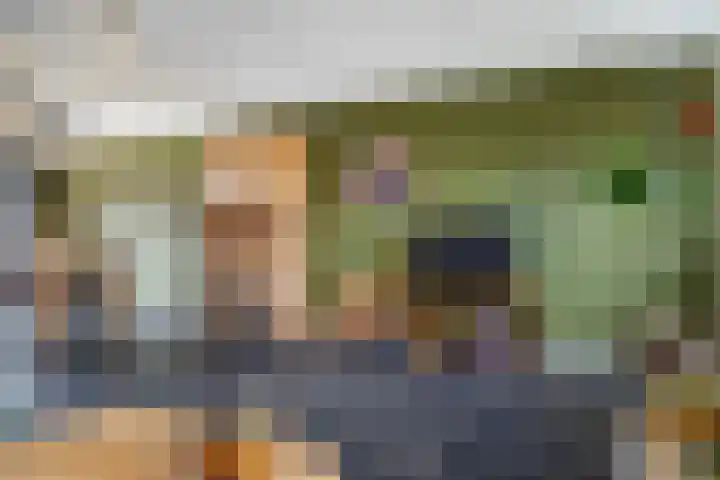 't Rak 45 Schoonebeek thumbnail 13