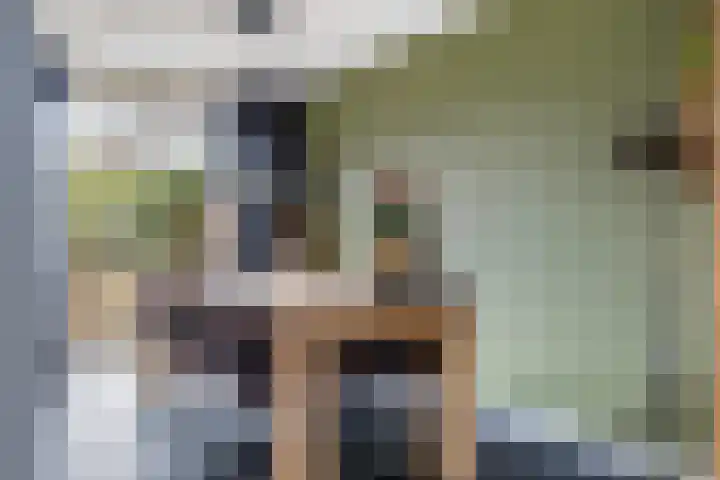 't Rak 45 Schoonebeek thumbnail 14