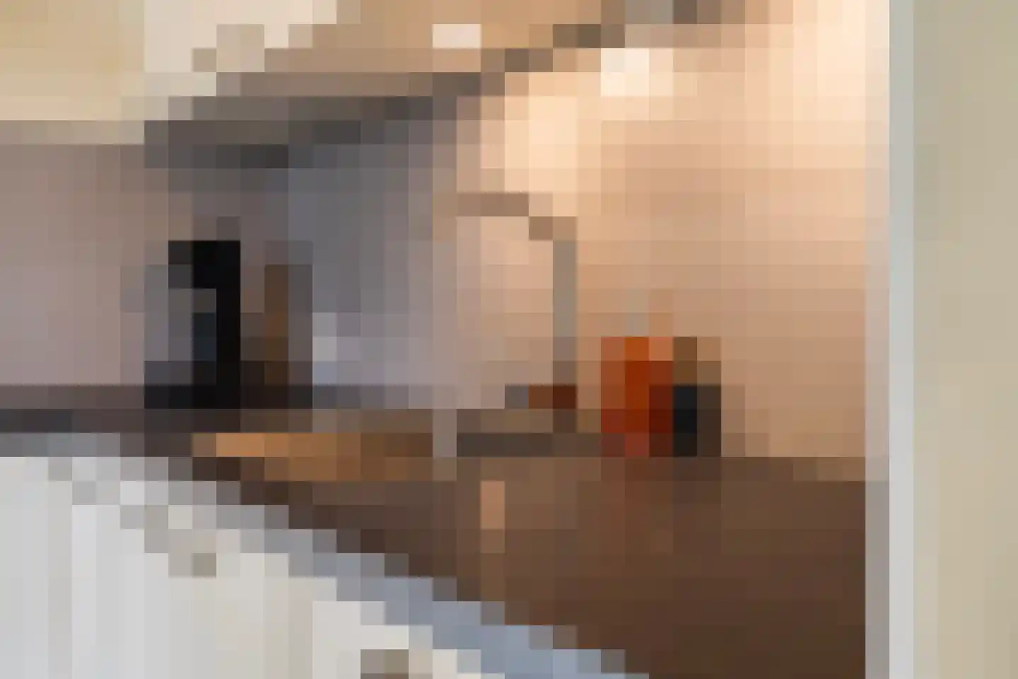 't Rak 45 Schoonebeek thumbnail 17