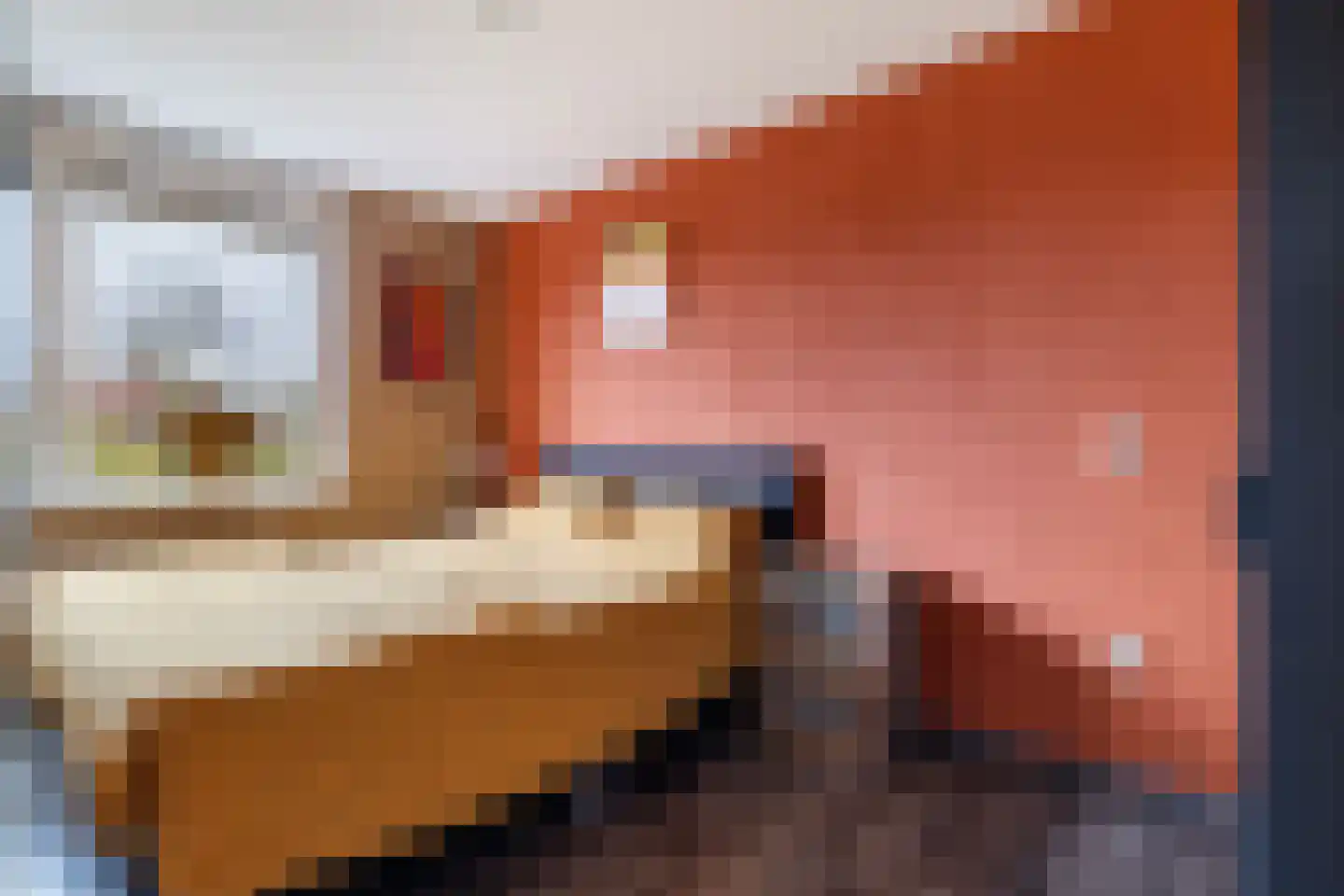 't Rak 45 Schoonebeek thumbnail 25