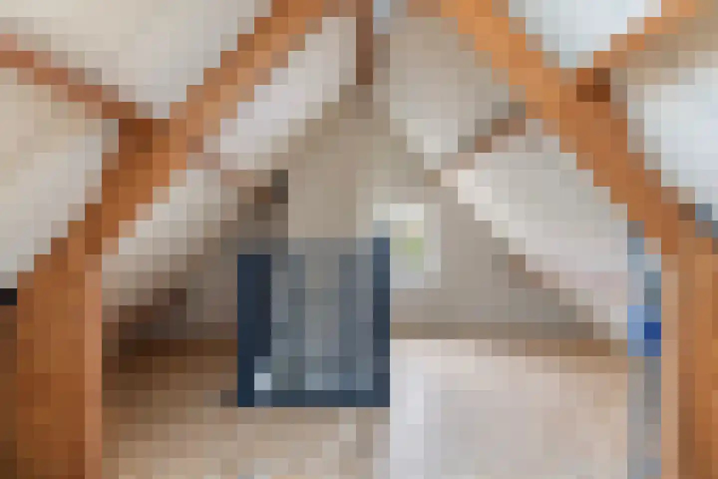 't Rak 45 Schoonebeek thumbnail 30