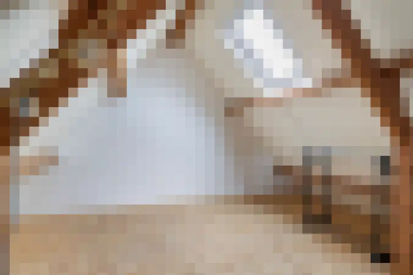 't Rak 45 Schoonebeek thumbnail 31
