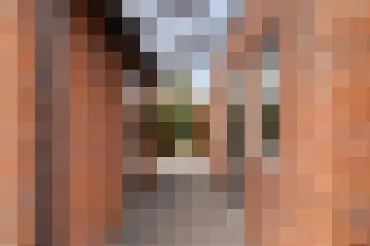 't Rak 45 Schoonebeek thumbnail 32