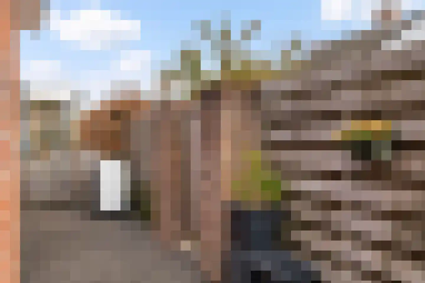 't Rak 45 Schoonebeek thumbnail 34