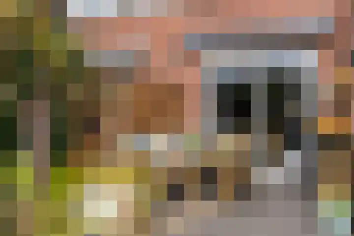 't Rak 45 Schoonebeek thumbnail 36