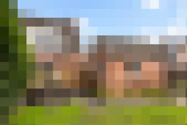 't Rak 45 Schoonebeek thumbnail 37