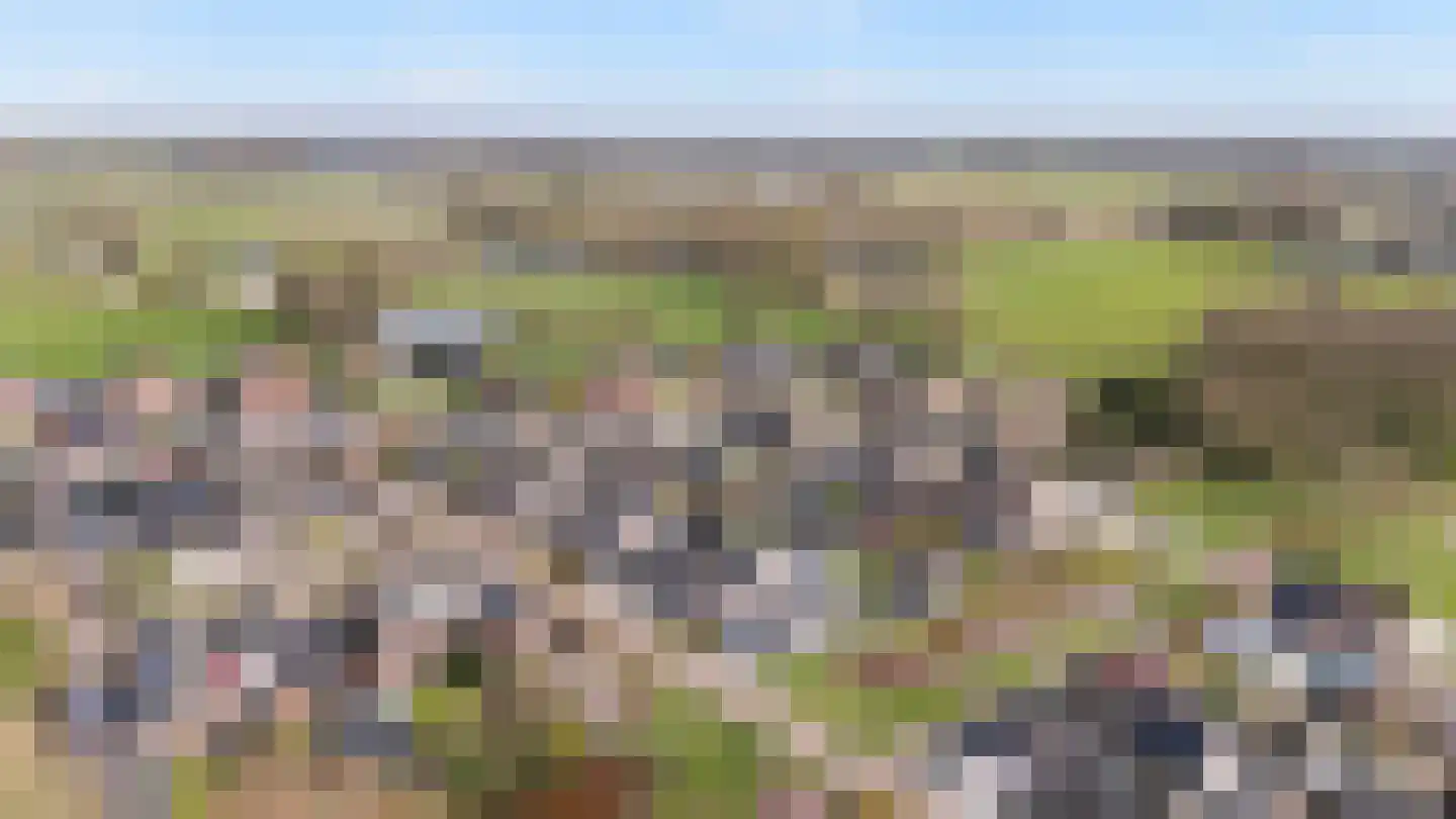 't Rak 45 Schoonebeek thumbnail 40