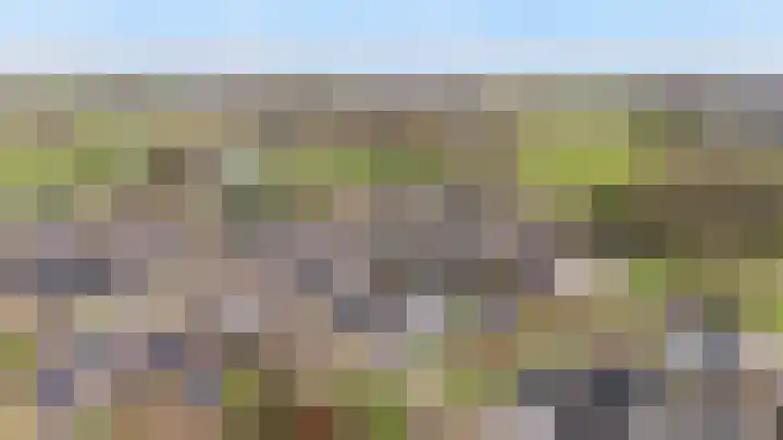 't Rak 45 Schoonebeek thumbnail 40