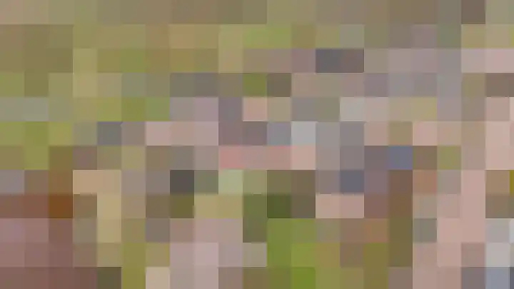 't Rak 45 Schoonebeek thumbnail 42