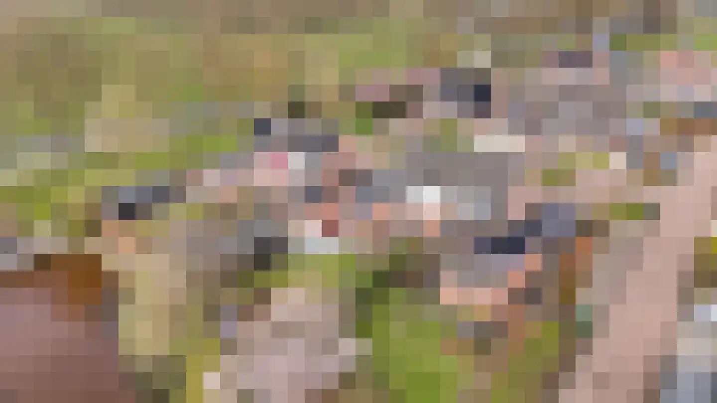 't Rak 45 Schoonebeek thumbnail 42