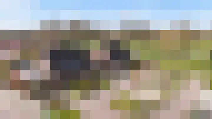 't Rak 45 Schoonebeek thumbnail 6