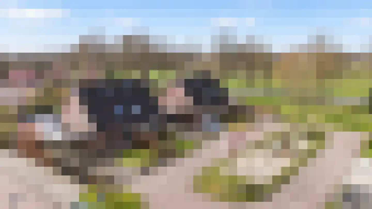 't Rak 45 Schoonebeek thumbnail 6