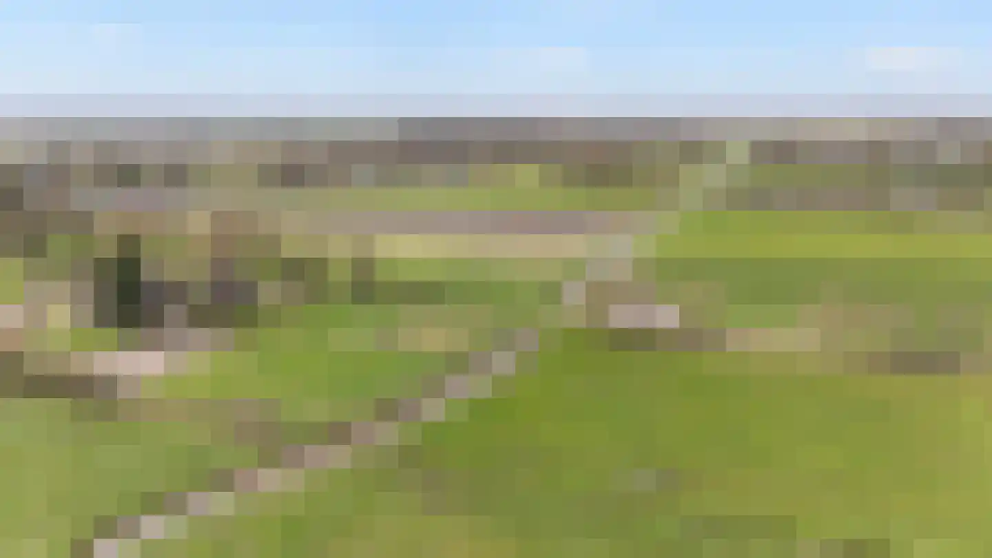 't Rak 45 Schoonebeek thumbnail 7