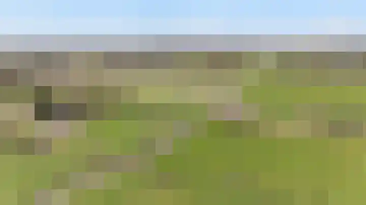 't Rak 45 Schoonebeek thumbnail 7