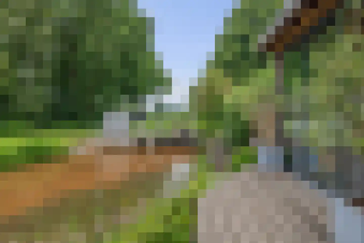 't Rak 49 Schoonebeek thumbnail 10
