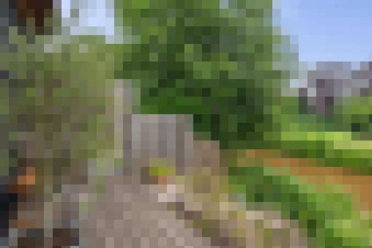 't Rak 49 Schoonebeek thumbnail 11