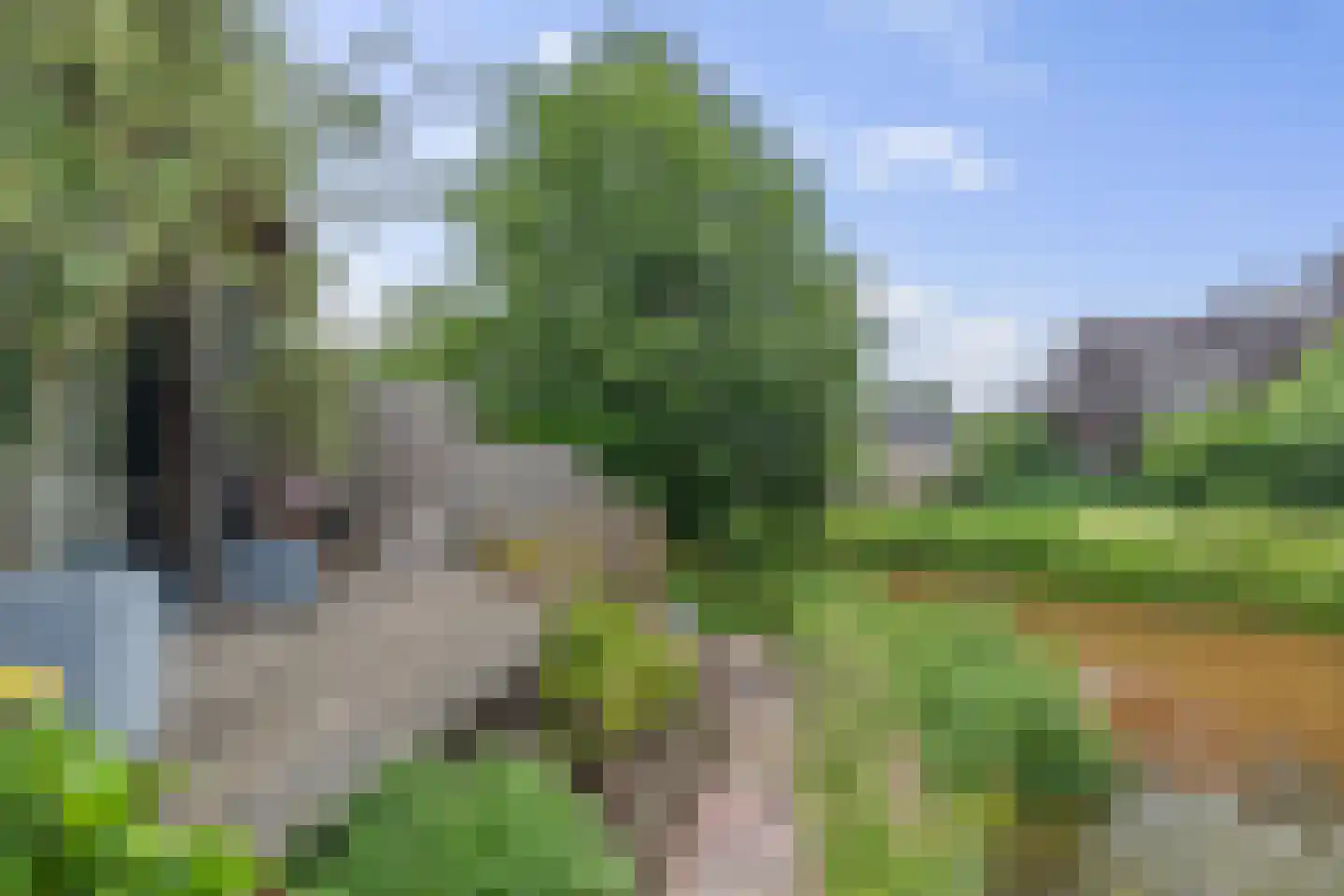 't Rak 49 Schoonebeek thumbnail 12