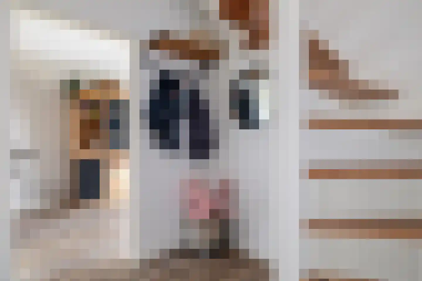't Rak 49 Schoonebeek thumbnail 23