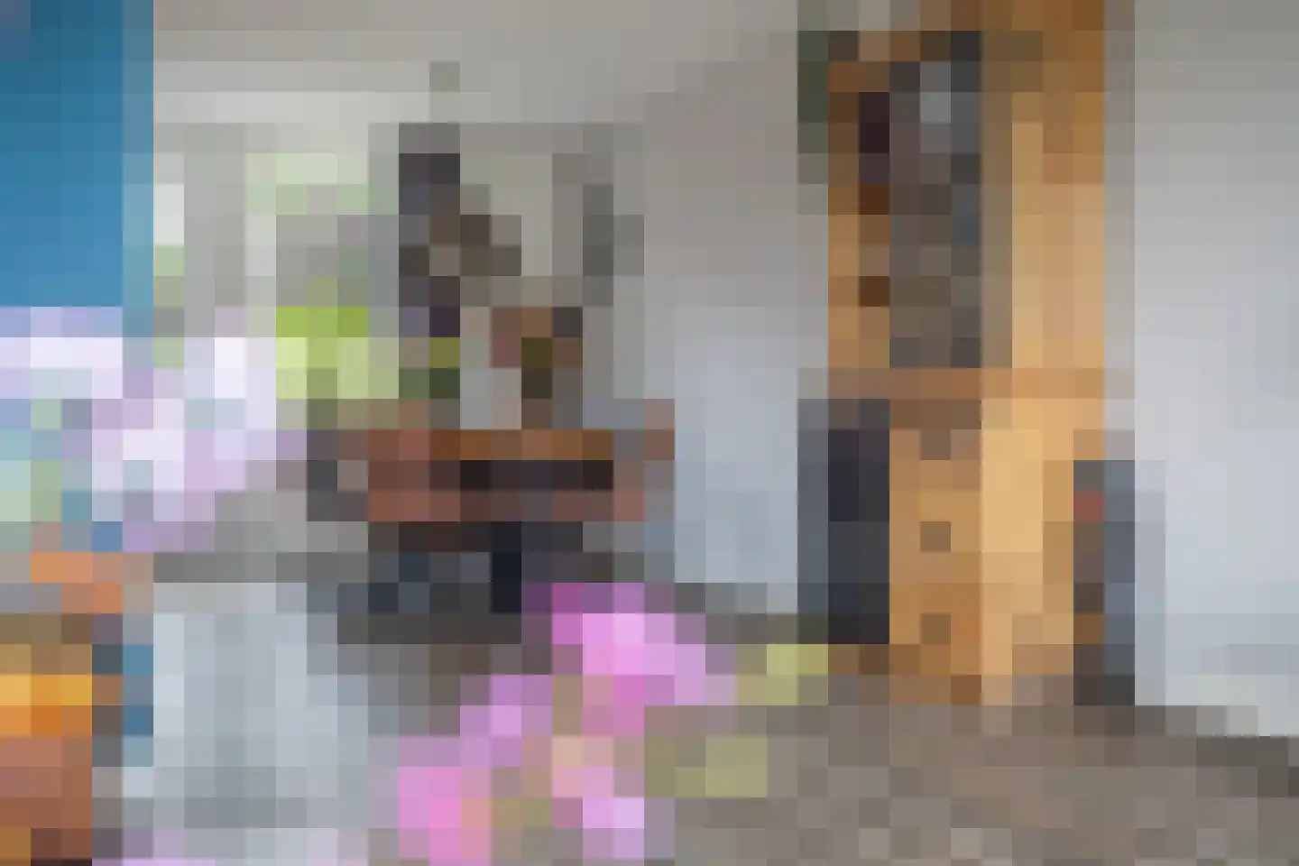 't Rak 49 Schoonebeek thumbnail 30