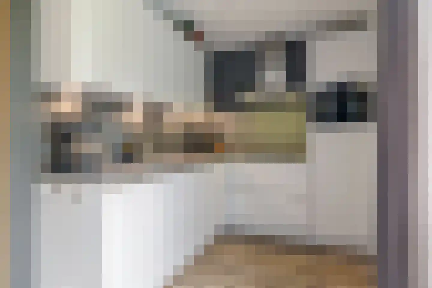 't Rak 49 Schoonebeek thumbnail 34