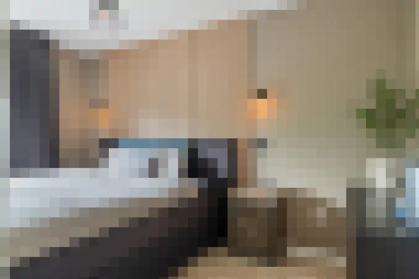 't Rak 49 Schoonebeek thumbnail 40
