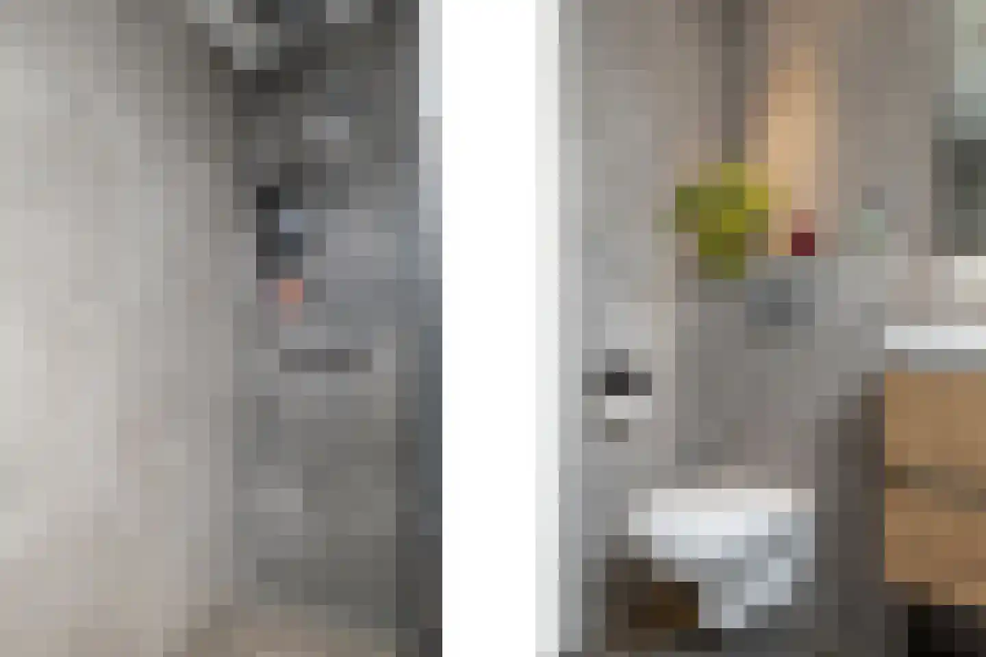 't Rak 49 Schoonebeek thumbnail 44